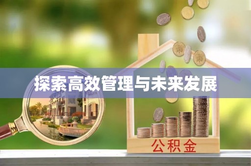 廊坊探索高效管理与未来发展