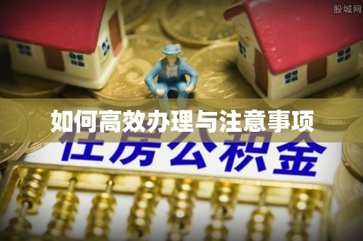 廊坊如何高效办理与注意事项