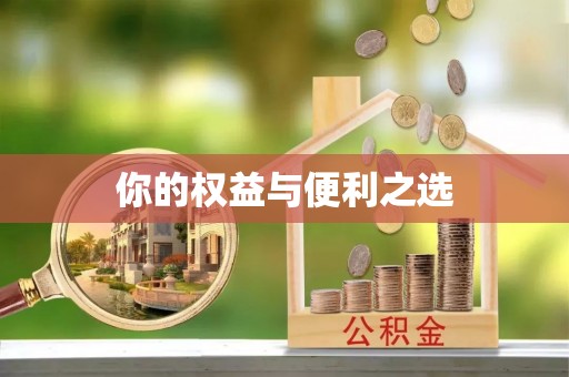 廊坊你的权益与便利之选
