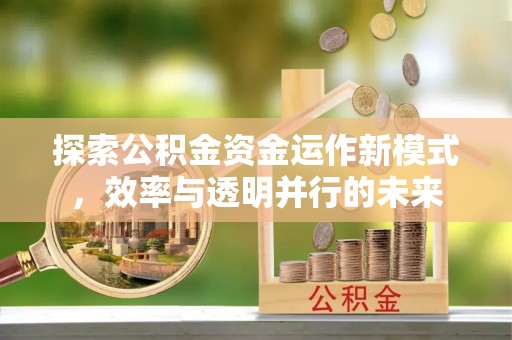 廊坊探索公积金资金运作新模式，效率与透明并行的未来