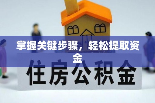 廊坊掌握关键步骤，轻松提取资金