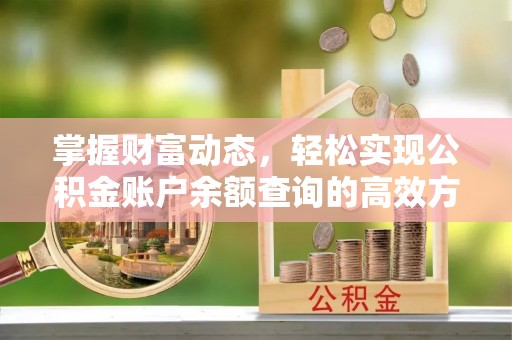 廊坊掌握财富动态，轻松实现公积金账户余额查询的高效方法