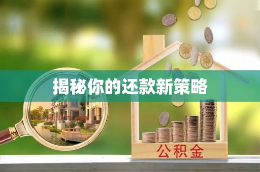 廊坊揭秘你的还款新策略
