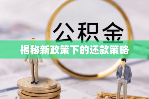 廊坊揭秘新政策下的还款策略