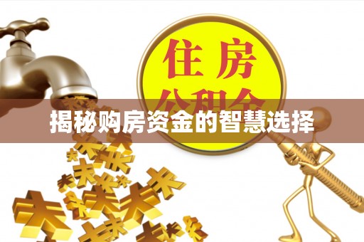 廊坊揭秘购房资金的智慧选择