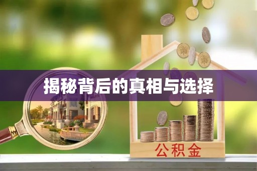 廊坊揭秘背后的真相与选择