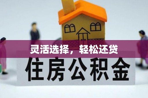廊坊灵活选择，轻松还贷