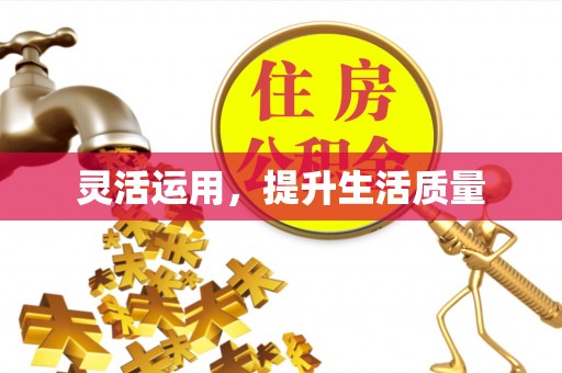 廊坊灵活运用，提升生活质量