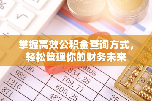 廊坊掌握高效公积金查询方式，轻松管理你的财务未来