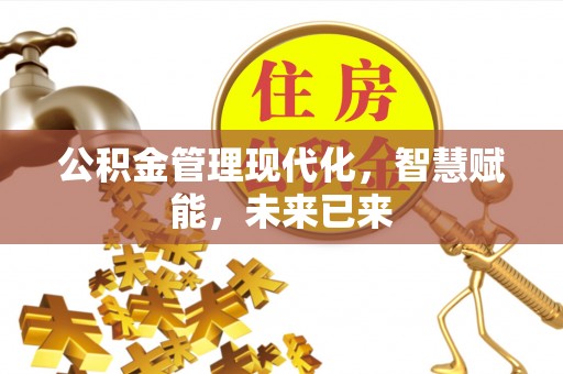 廊坊公积金管理现代化，智慧赋能，未来已来
