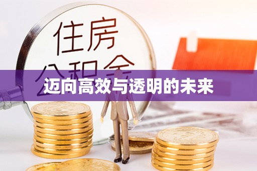 廊坊迈向高效与透明的未来
