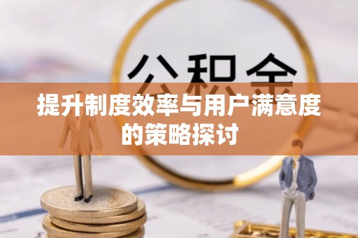 廊坊提升制度效率与用户满意度的策略探讨